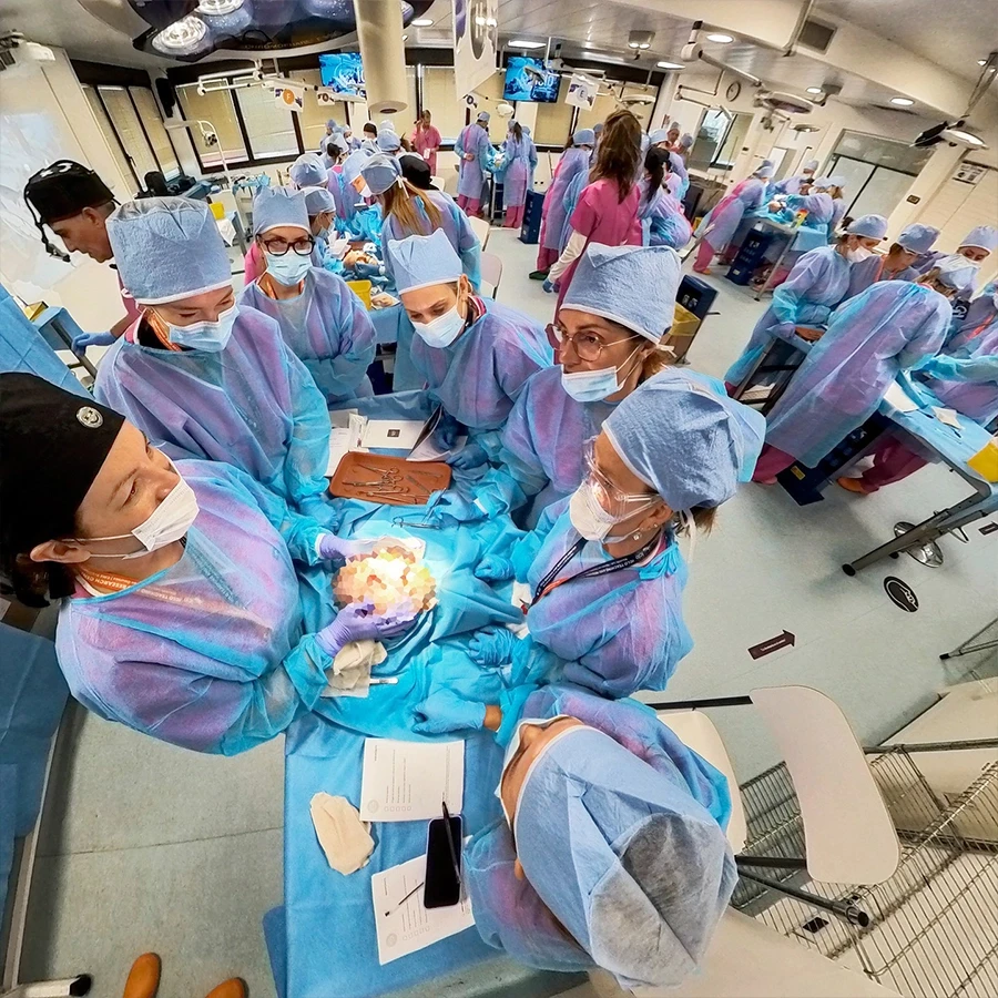 Verona Cadaver Lab - Formación médica